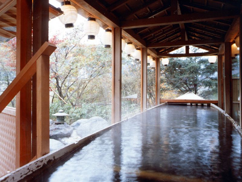 khách sạn Kinugawa Park khách sạn Kinugawa Park